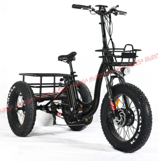 e-trike front imgage